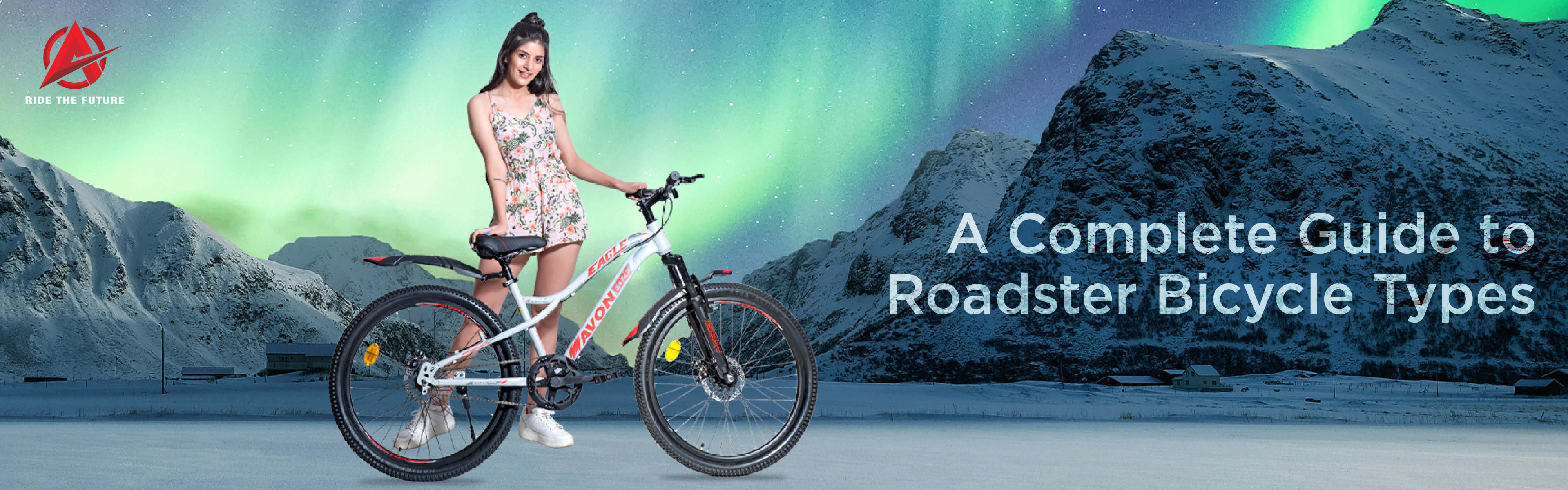 A Complete Guide to Roadster Bicycle Types
